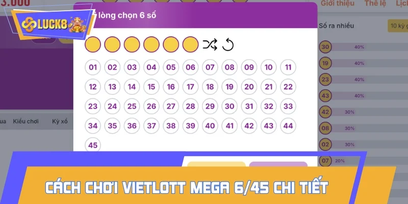 Giới thiệu sơ bộ về Mega 6/45 cho người mới
