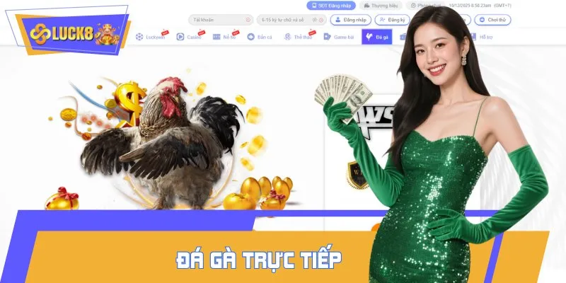 Đá gà sở hữu tốc độ truyền tải nhanh đạt chuẩn 4K