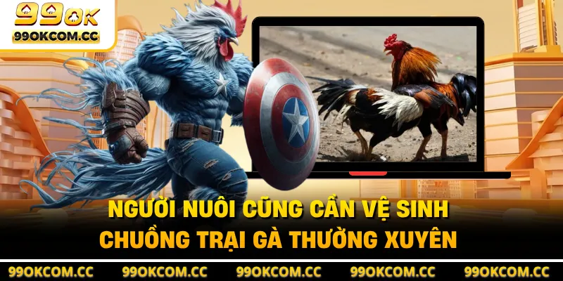 Người nuôi cũng cần vệ sinh chuồng trại gà thường xuyên
